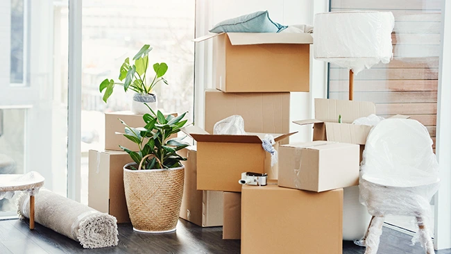 Acompañamiento en mudanzas